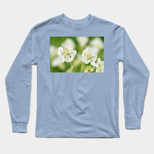 Silene maritima  Sea campion Long Sleeve T-Shirt